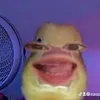 roropot__