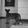 weee_0005