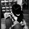 ma.hmwe8