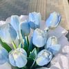biru7611
