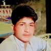 zain.jutt9831