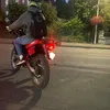 nils.422