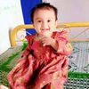 aneela8661