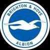 brighton_hove_albion_