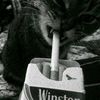 asdegbh