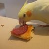 cocoandluki