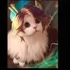 baby.cat599