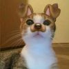 vcyufssz
