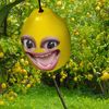 inenhst1