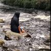 chintya020906