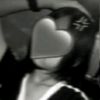 party_0559