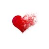 luvreqaic8q