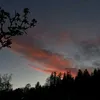 a_1401_s
