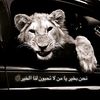aa.......mn1
