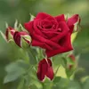 user927108776