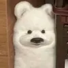fanaoteren0dau