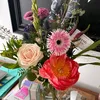 patricia_roantree