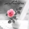 ahmad.sabry74