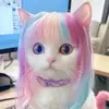 nekithhhhh