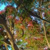 malak.ahmed6858