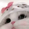 aishatpoo