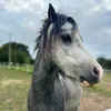 maxthediva5