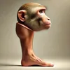 rarrat6