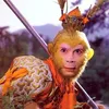 sun.wukong763