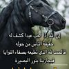 user51532748130124