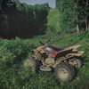 riding_with_random