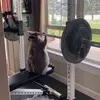 sr.raccoon777