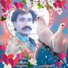 niaz.ali.magsi52