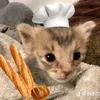 catlover123057