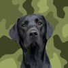 ghostblacklab