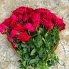 shahadat.siyam