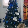 omar85603