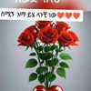 muhamed2seid