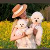 Pet products