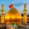 shakeelchohan239
