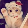 iprincesh