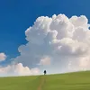 li666lll