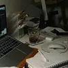 focus_with_me