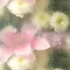 byhidx