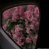 jana287166