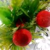 mohsin.ashraf.moh0