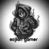 sajian.gamer.12