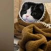 Funny.Cute.Pet28