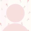 rama.rached5