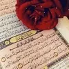 user8269403163354