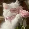 rokia_308